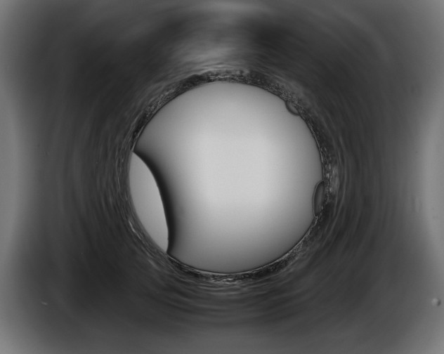 X0000086960753200704161124