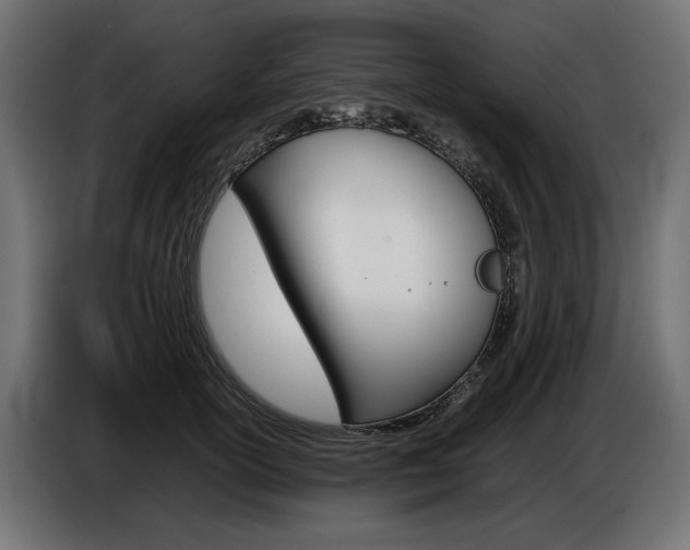 X0000086960754200704161124