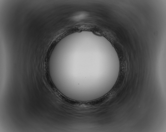 X0000086960755200704161124
