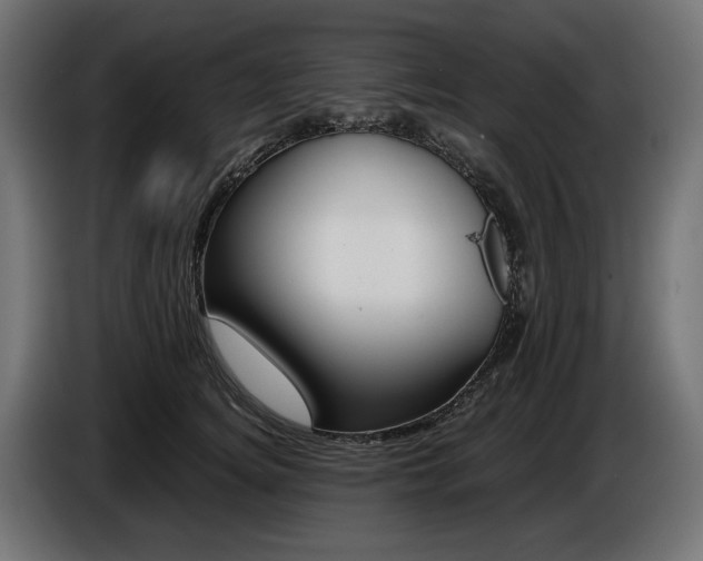 X0000086960756200704161124