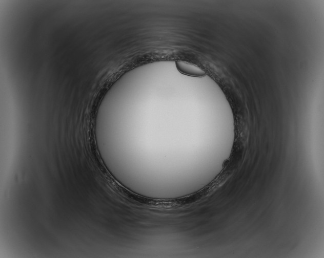 X0000086960758200704161124