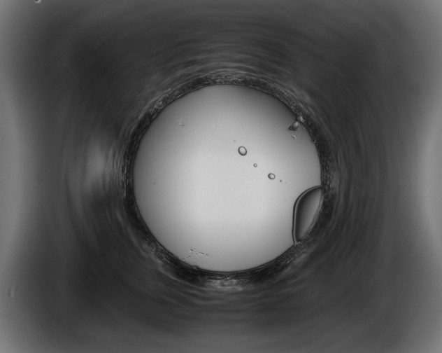 X0000086960759200704161124