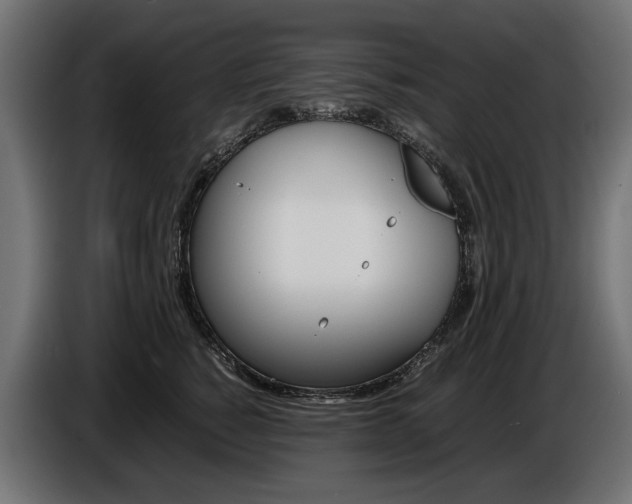 X0000086960760200704161124