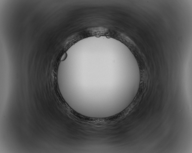 X0000086960761200704161124