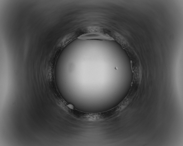 X0000086960762200704161124