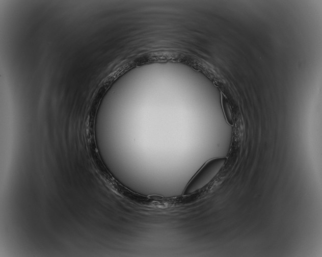 X0000086960764200704161124