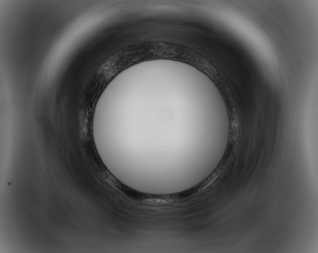 X0000086960765200704161124