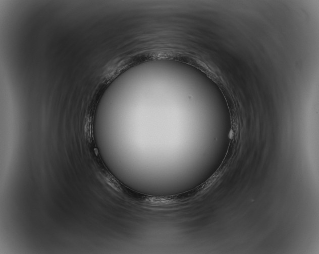 X0000086960766200704161124