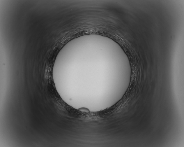 X0000086960770200704161123