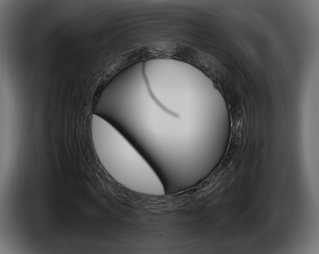 X0000086960772200704161123
