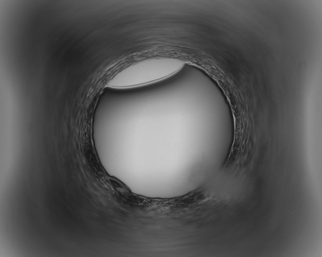 X0000086960773200704161123
