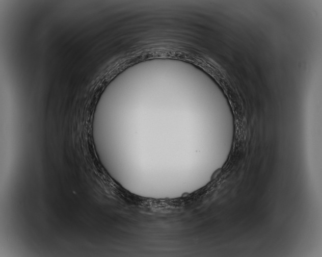 X0000086960774200704161123