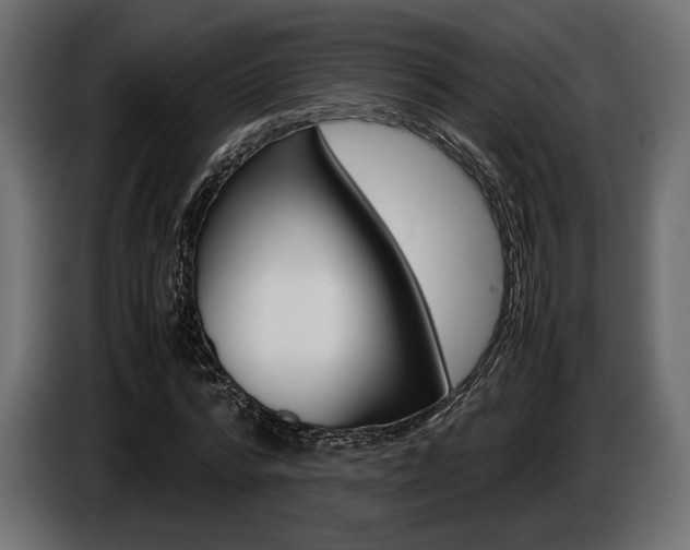 X0000086960776200704161123