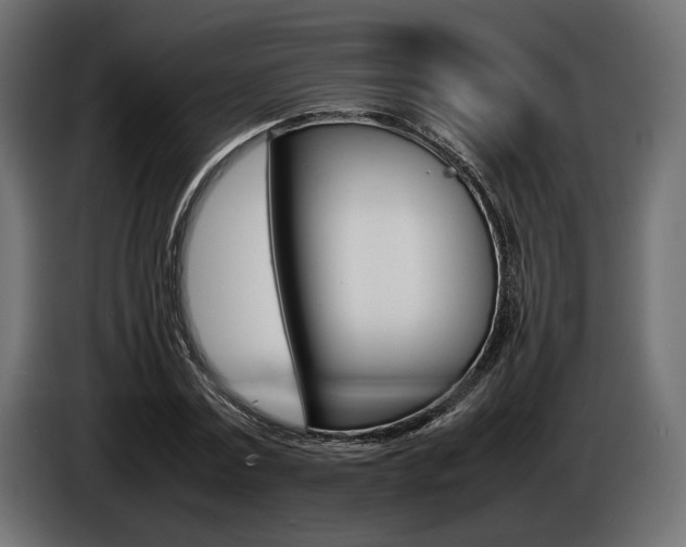 X0000086960779200704161123