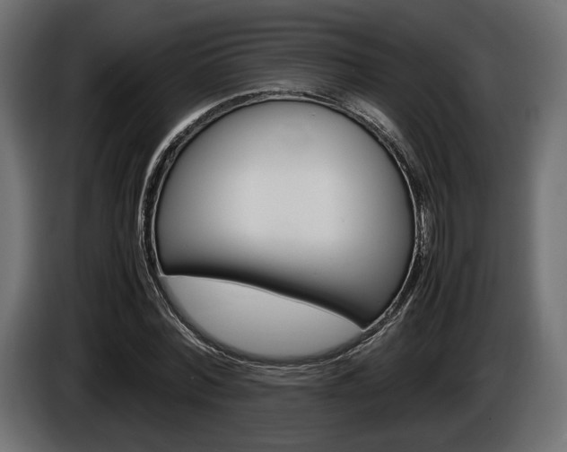 X0000086960780200704161123