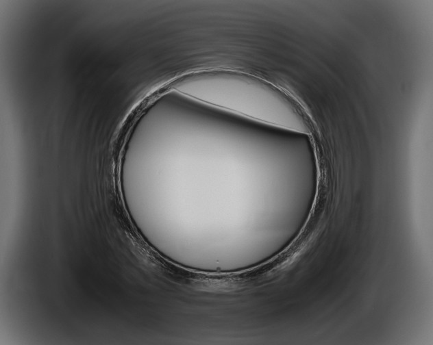 X0000086960781200704161123