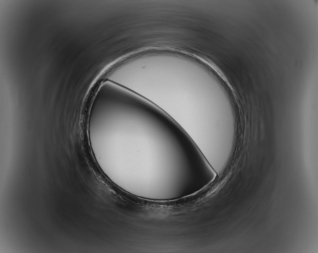 X0000086960783200704161123