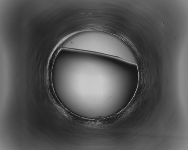 X0000086960784200704161123