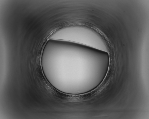 X0000086960785200704161123