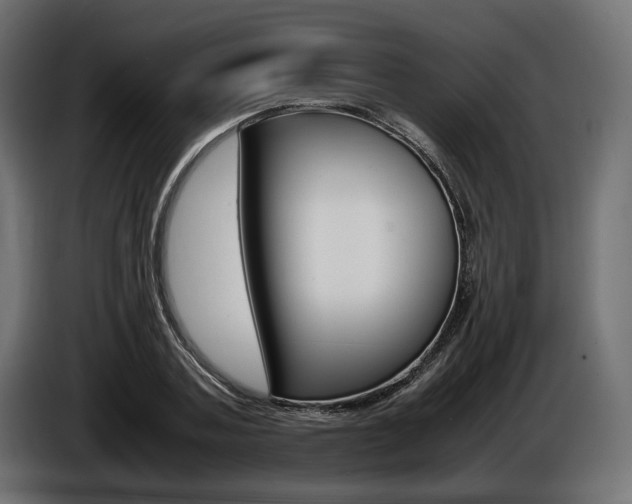X0000086960787200704161123