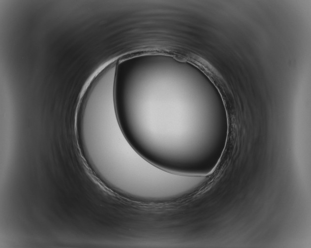 X0000086960788200704161123