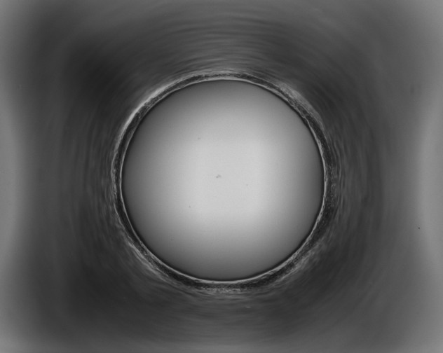 X0000086960789200704161123