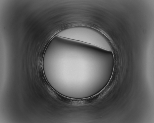 X0000086960793200704161123