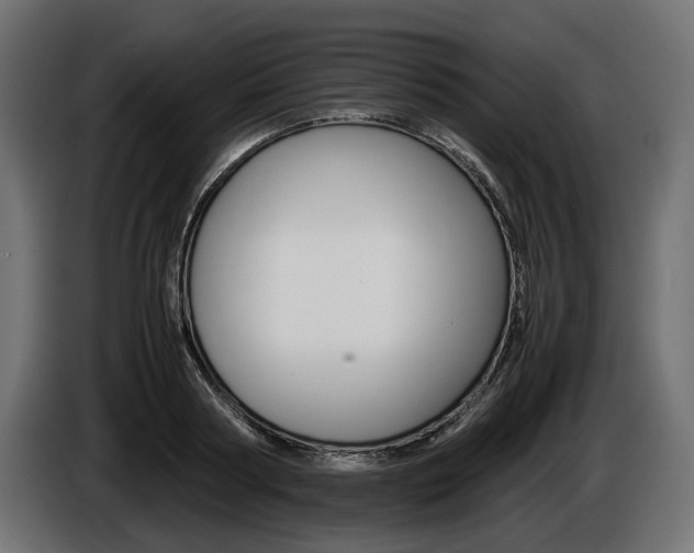 X0000086960794200704161123