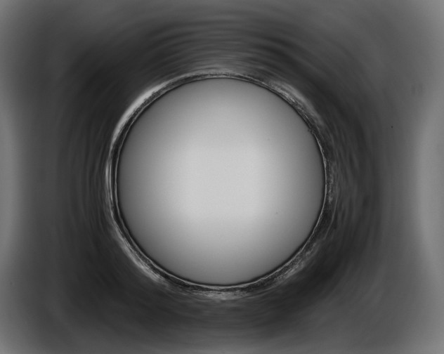 X0000086960796200704161123