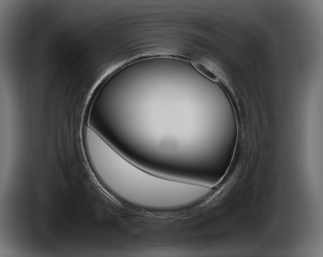 X0000086960797200704161123