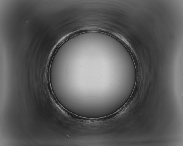 X0000086960799200704161123