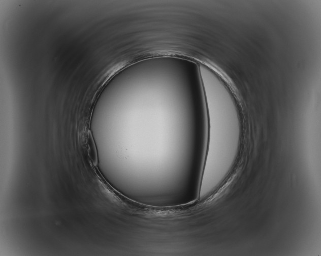 X0000086960801200704161123