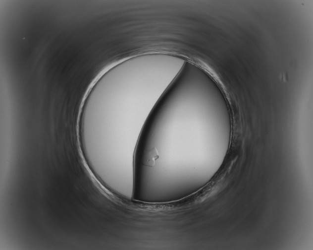 X0000086960803200704161122
