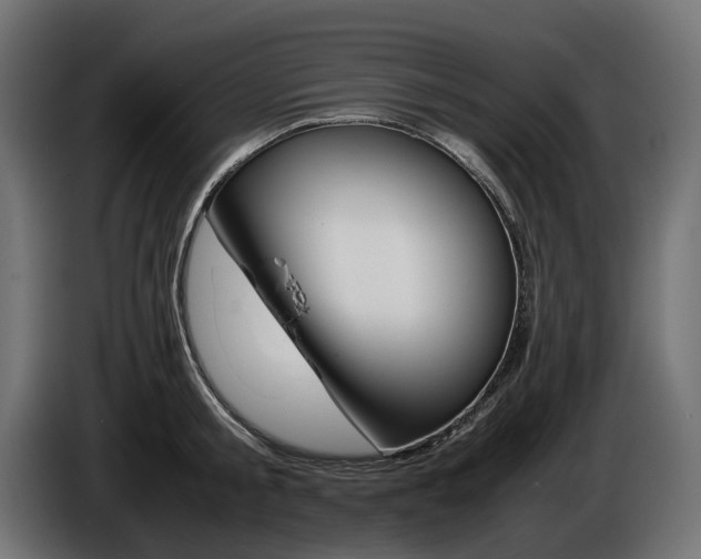 X0000086960805200704161122