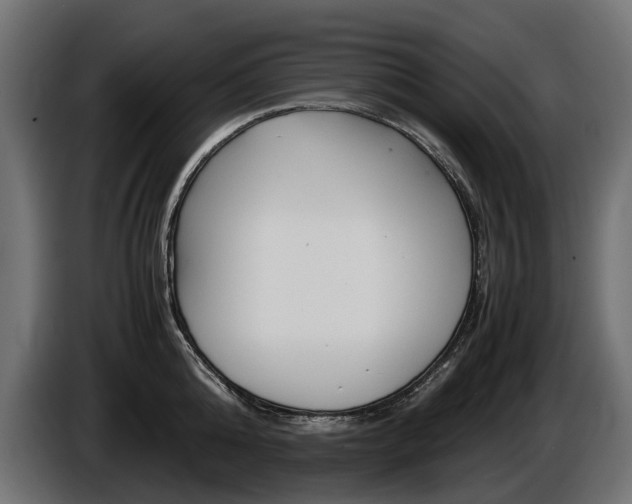 X0000086960808200704161122