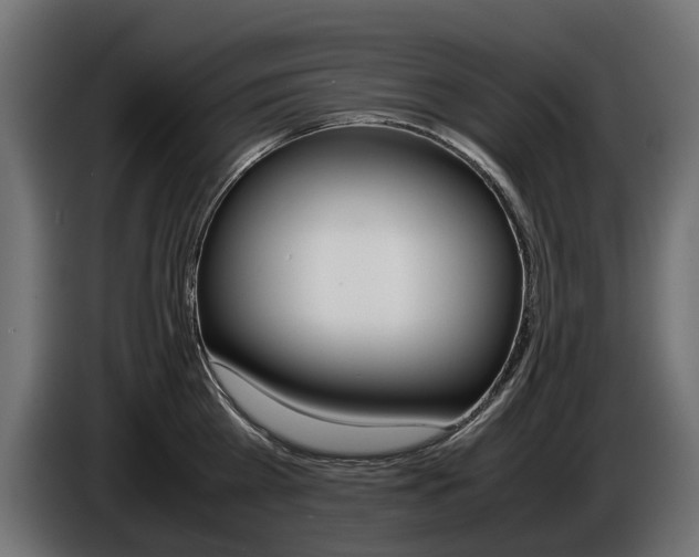 X0000086960809200704161122