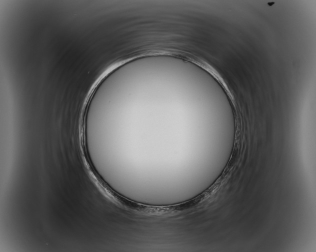 X0000086960811200704161122
