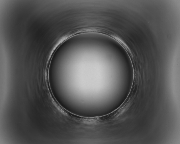 X0000086960813200704161122