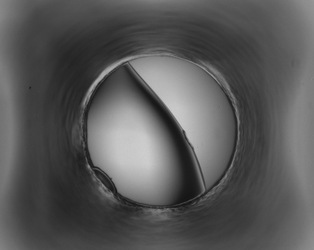 X0000086960816200704161122
