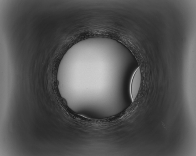 X0000086960817200704161122