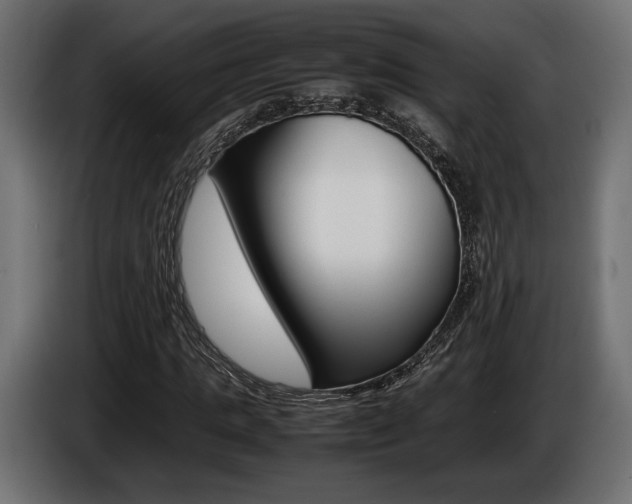 X0000086960821200704161122