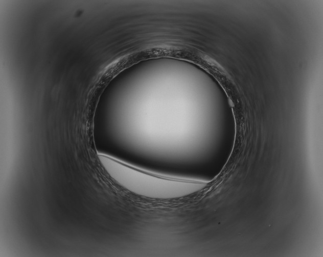 X0000086960822200704161122