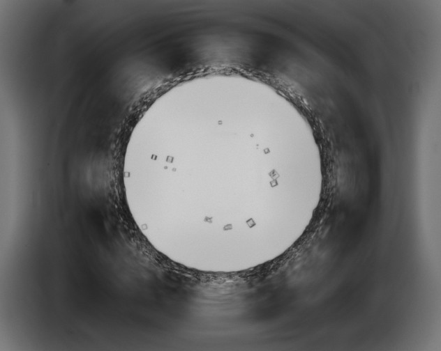 X0000086960824200704161122