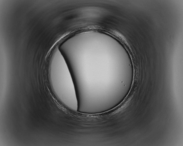 X0000086960827200704161122