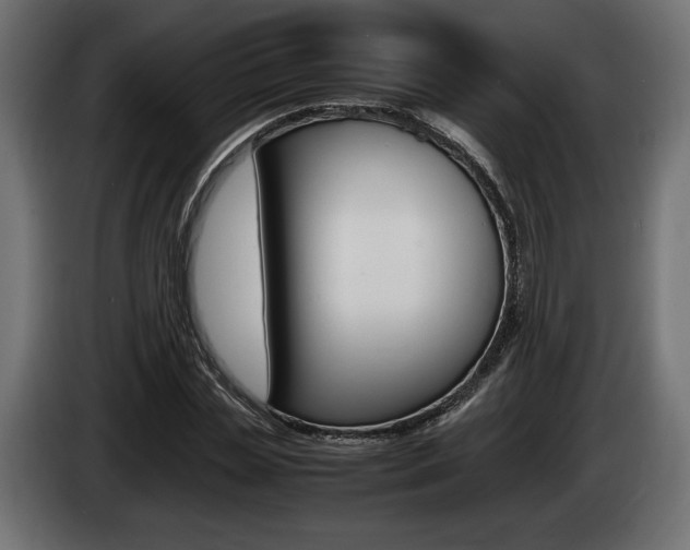 X0000086960829200704161122