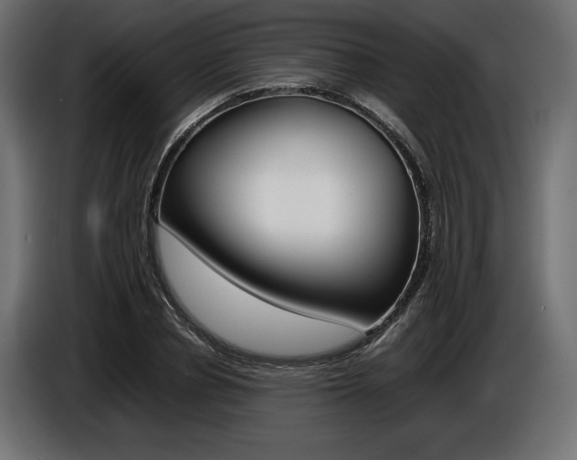 X0000086960834200704161122