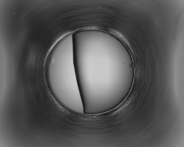 X0000086960835200704161122