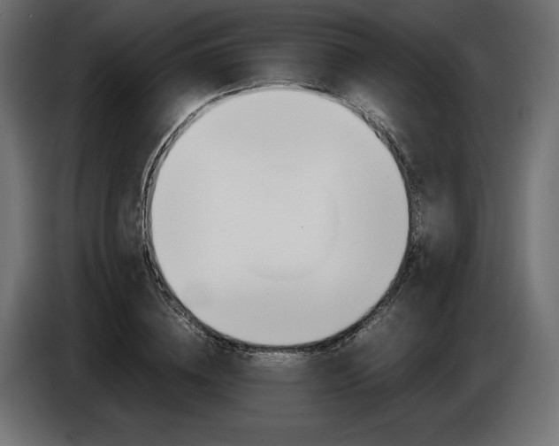 X0000086960836200704161122
