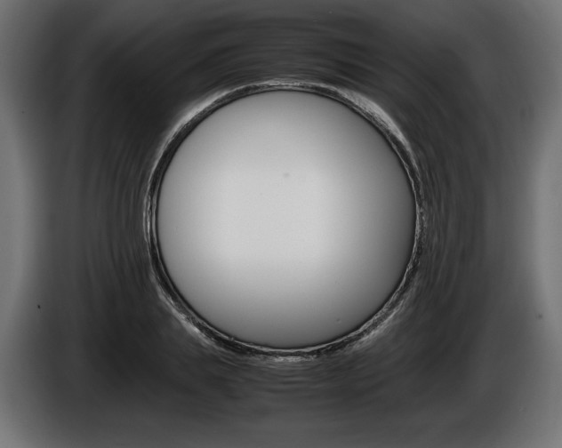 X0000086960839200704161122