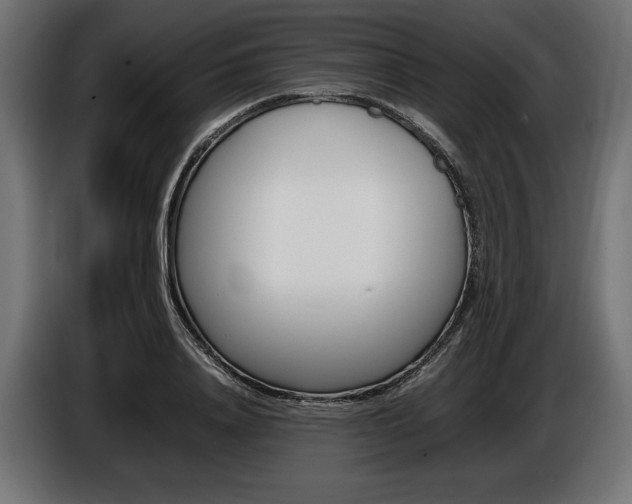 X0000086960840200704161122